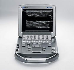 Ultrasonic Diagnosis and Injections